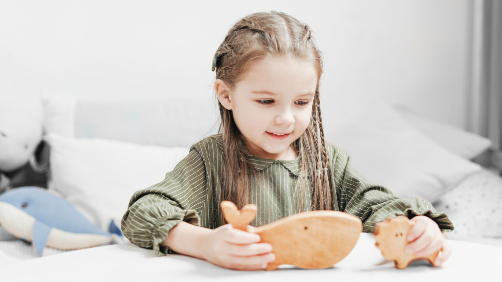 Jouets écologiques en bois naturel